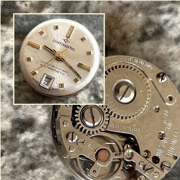 Antimagnetic là gì? Lá chắn vô hình bảo vệ sự chính xác của đồng hồ cơ