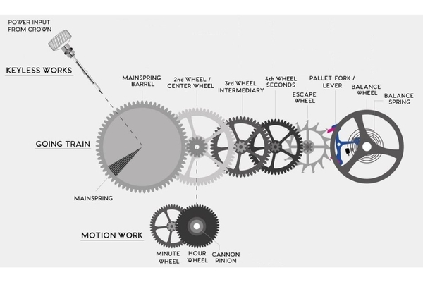 Rotor Đồng Hồ Là Gì? Công Dụng, Cấu Tạo & Cách Hoạt Động Chi Tiết