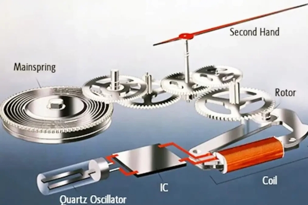 Rotor Đồng Hồ Là Gì? Công Dụng, Cấu Tạo & Cách Hoạt Động Chi Tiết